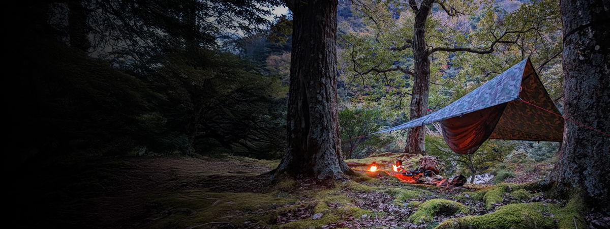 AquaQuest tarp pitched over a hammock at a forest camp